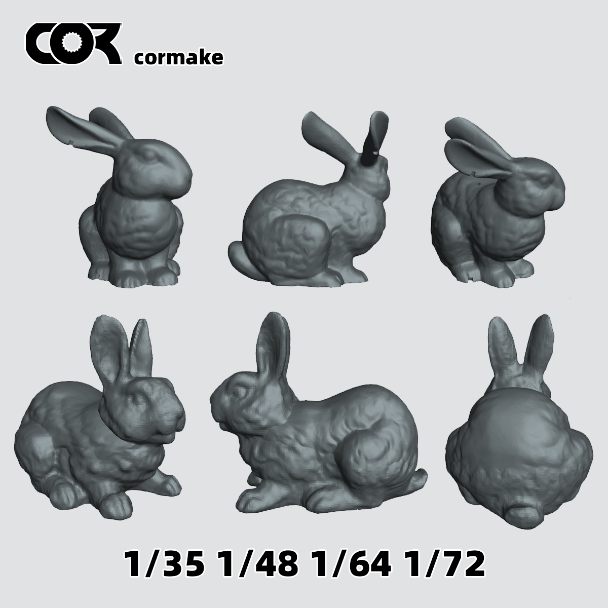3D Printing Construction - Zestaw modelu królika 3D z żywicy,